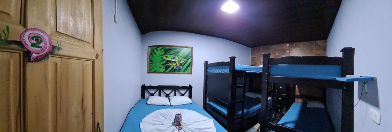 Hostel Tortuguero 7Backpackers Ngoại thất bức ảnh