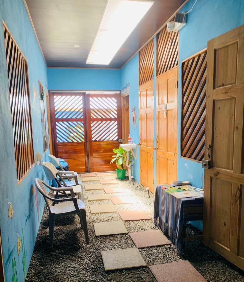 Hostel Tortuguero 7Backpackers Ngoại thất bức ảnh