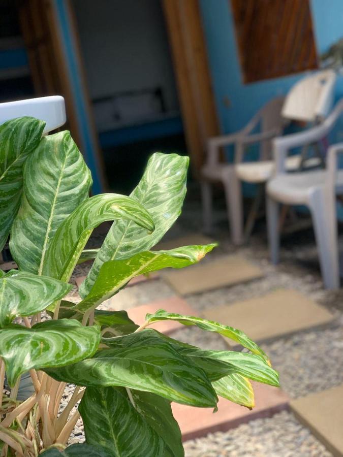 Hostel Tortuguero 7Backpackers Ngoại thất bức ảnh