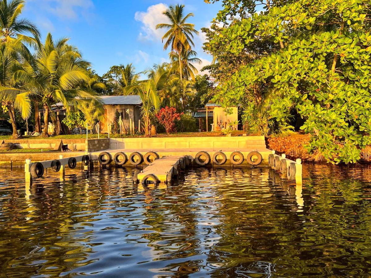 Hostel Tortuguero 7Backpackers Ngoại thất bức ảnh