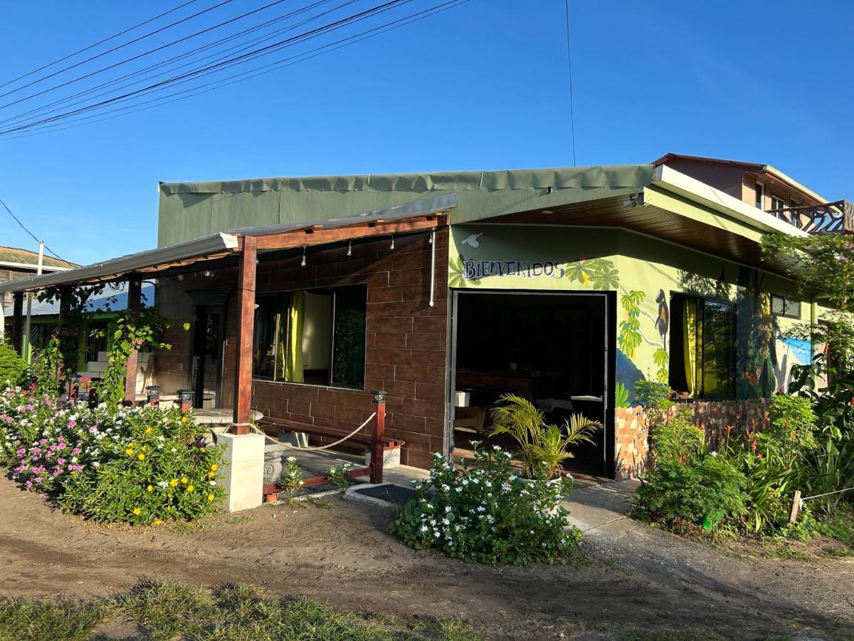 Hostel Tortuguero 7Backpackers Ngoại thất bức ảnh