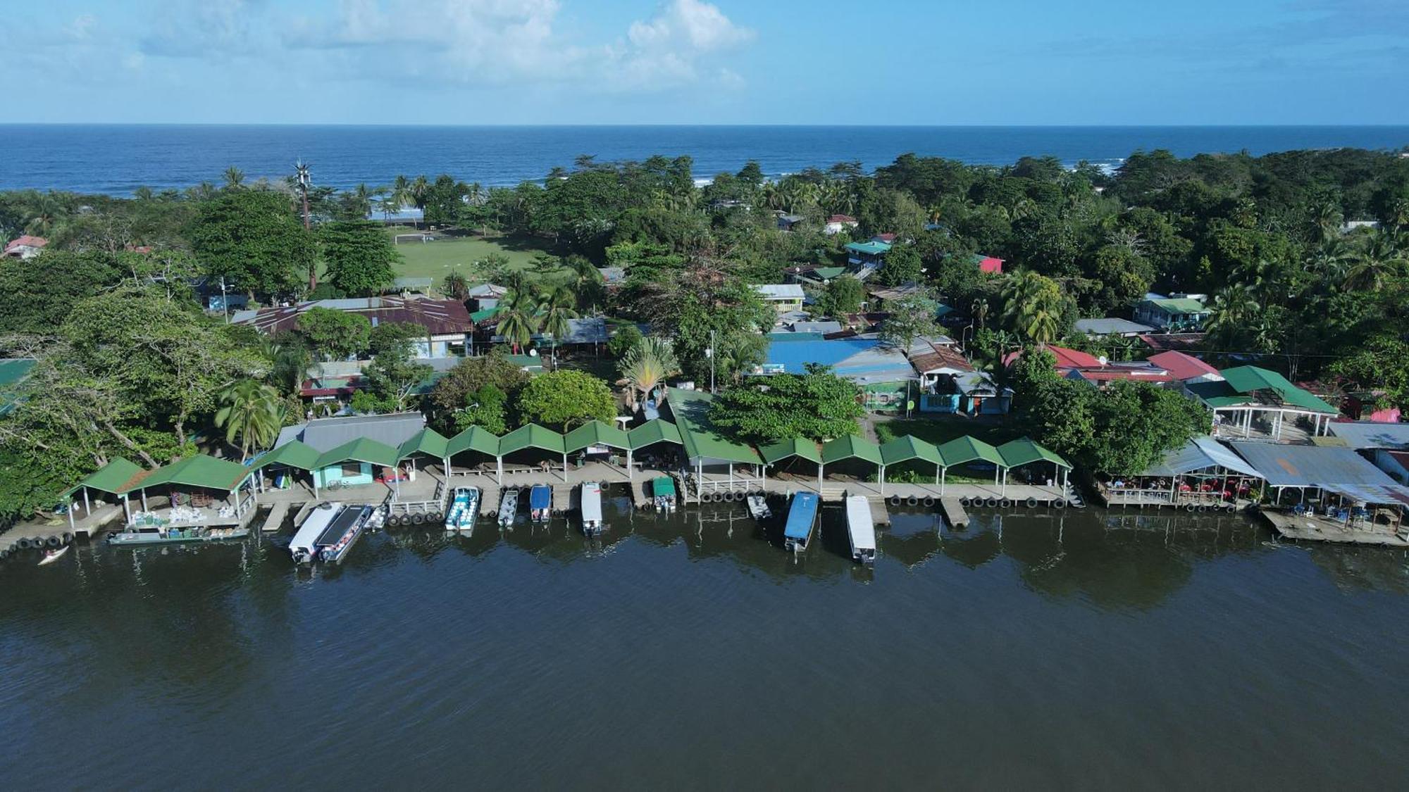 Hostel Tortuguero 7Backpackers Ngoại thất bức ảnh