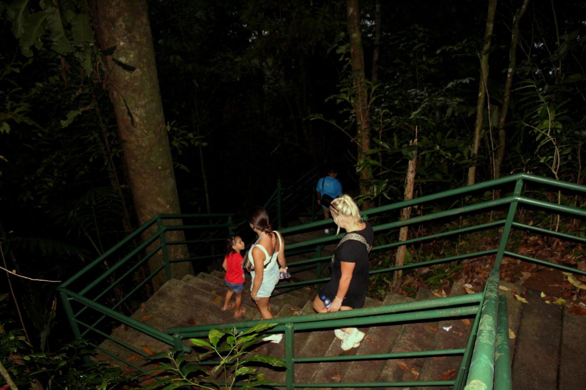 Hostel Tortuguero 7Backpackers Ngoại thất bức ảnh